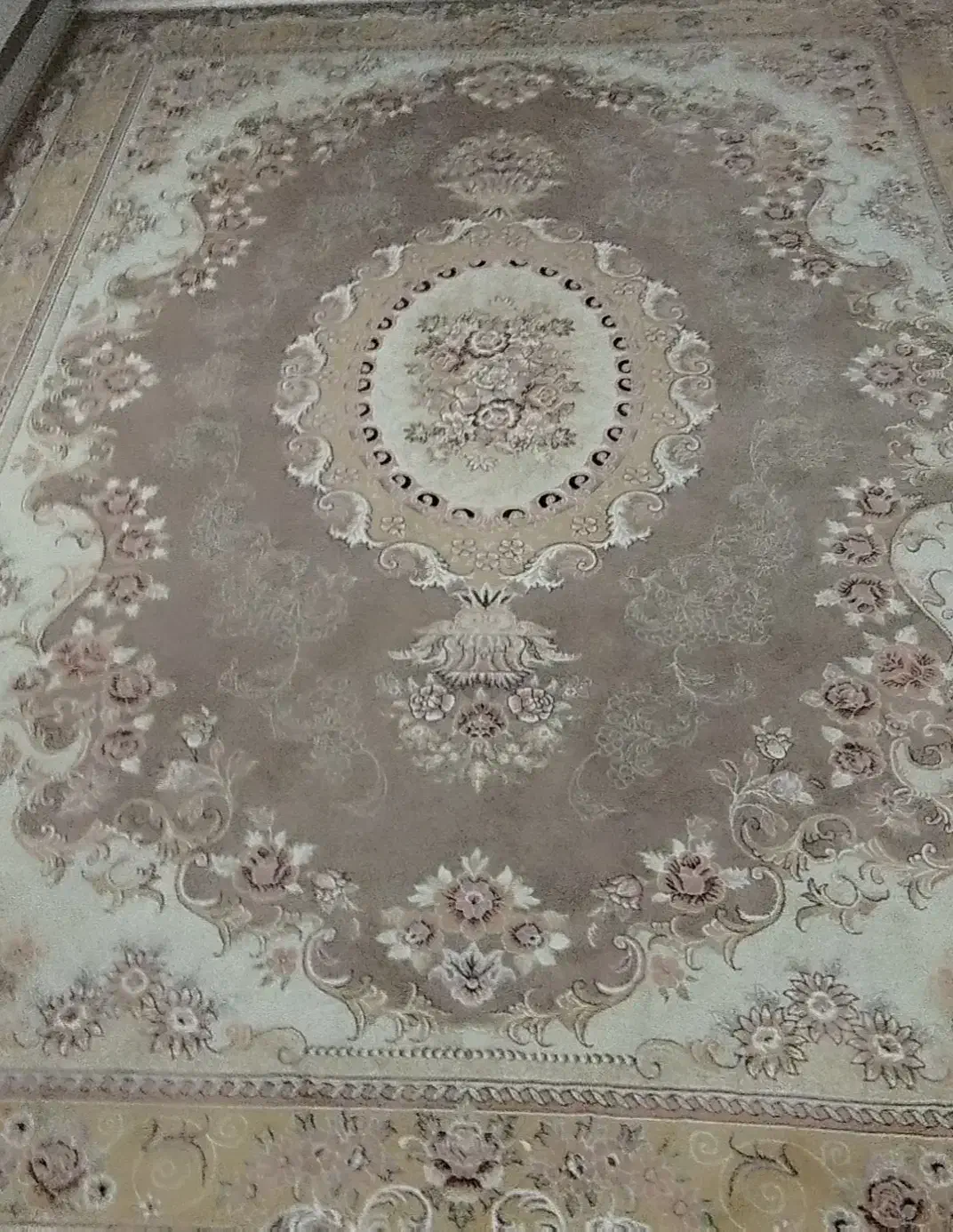 فرش 12 کاری گردویی|فرش|قم, باغ کرباسی|دیوار