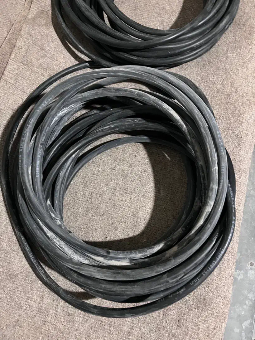 معاوضه کبوتر دمگیر خرقه با کابل برق|پرنده|برخوار, |دیوار