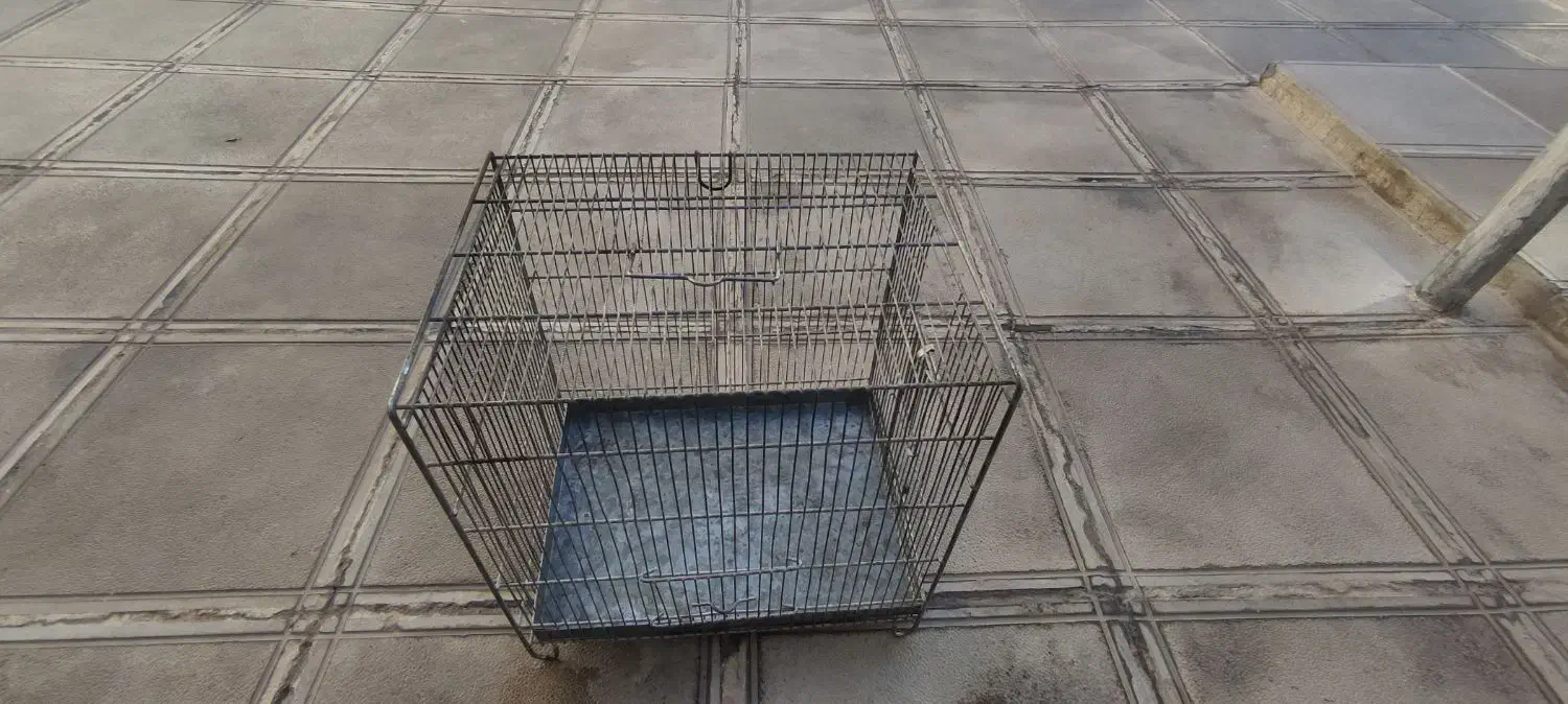 دوتا قفس غلامی، جفت تل|لوازم جانبی حیوانات|ایلام, |دیوار