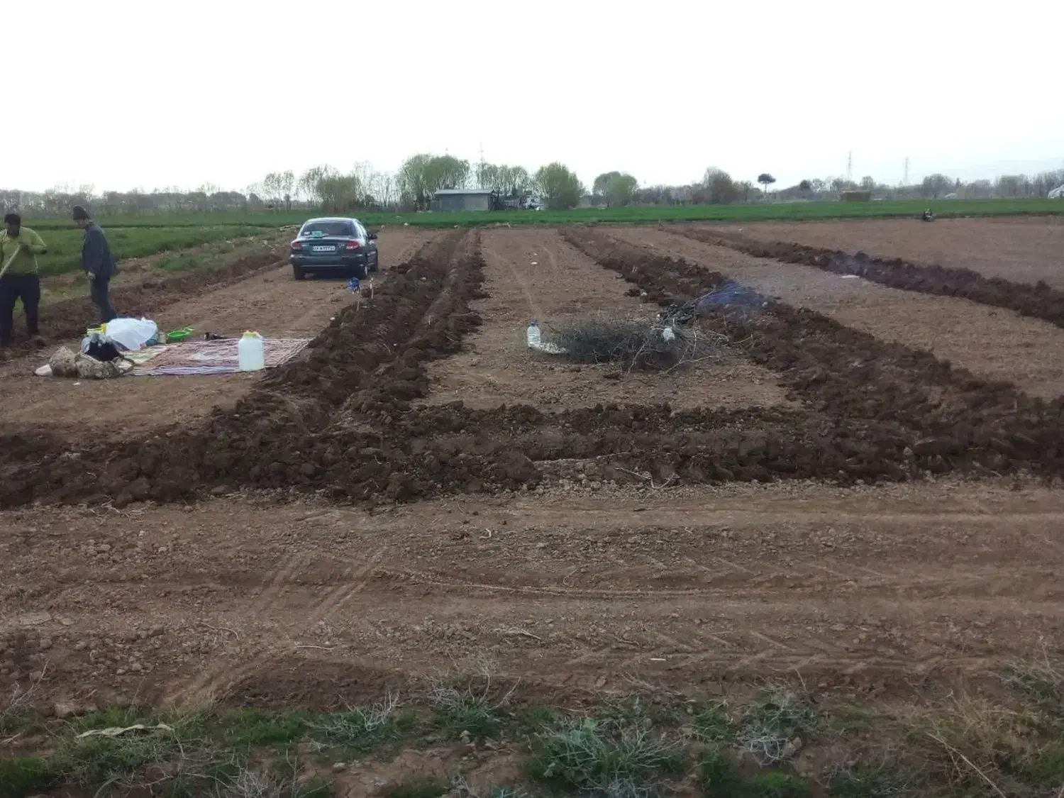 1000متر زمین باغی|فروش دفتر صنعتی، کشاورزی، تجاری|تهران, اسکندری|دیوار