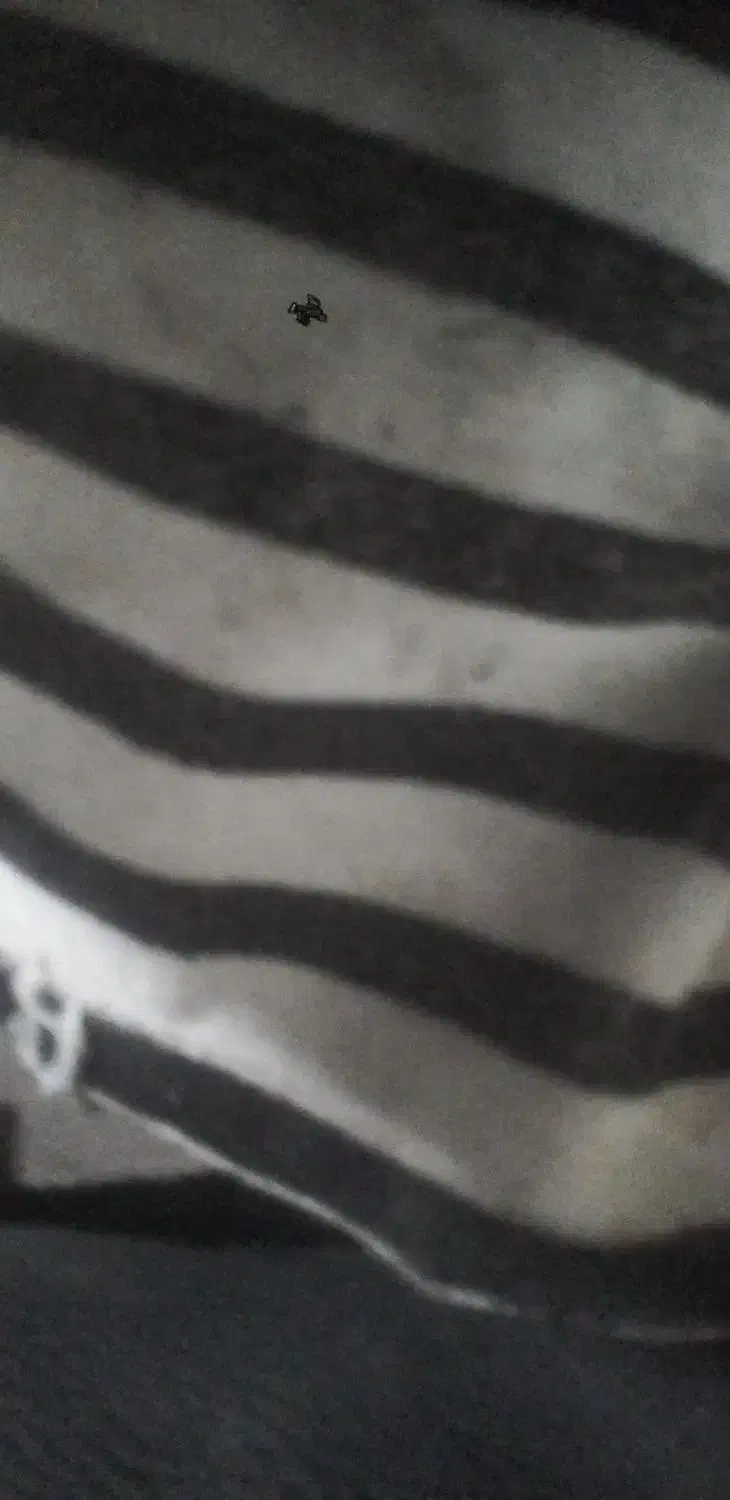 ۶تا تشک پنبه ای درجه ۱  تک نفره  نو و ‌بالشت پر|رختخواب، بالش، پتو|چهارباغ, |دیوار