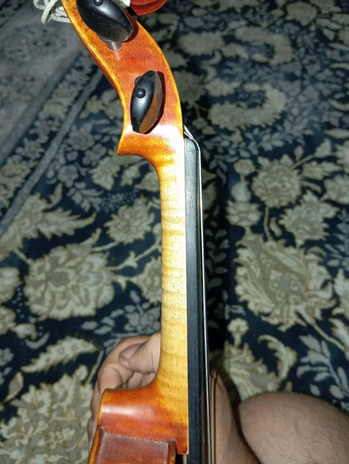 ویولن حرفه ای آلمانی|ویولن|تهران, کوثر|دیوار