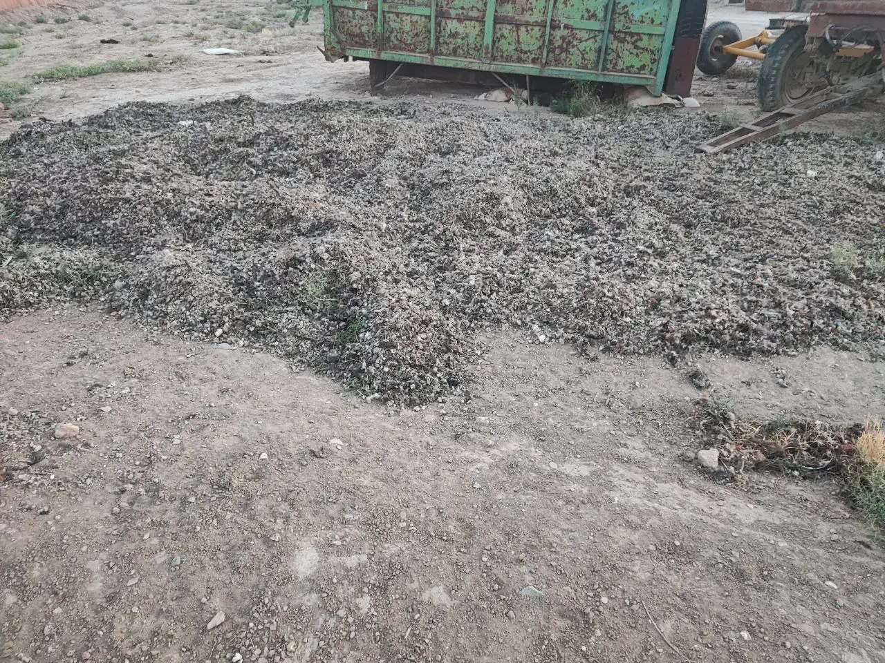 کود مرغی درجه یک|خدمات باغبانی و درختکاری|قم, جمکران|دیوار