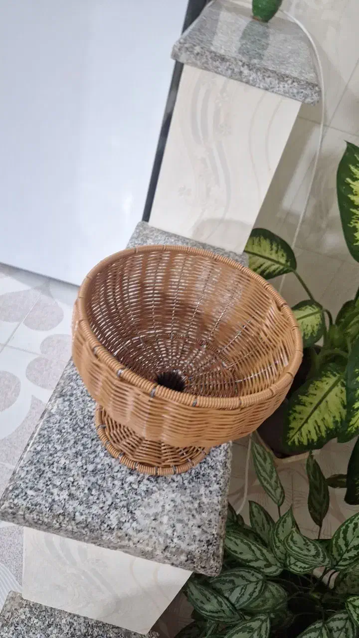 سبد حصیری|ظروف نگهدارنده، پلاستیکی، یک‌بارمصرف|اراک, |دیوار