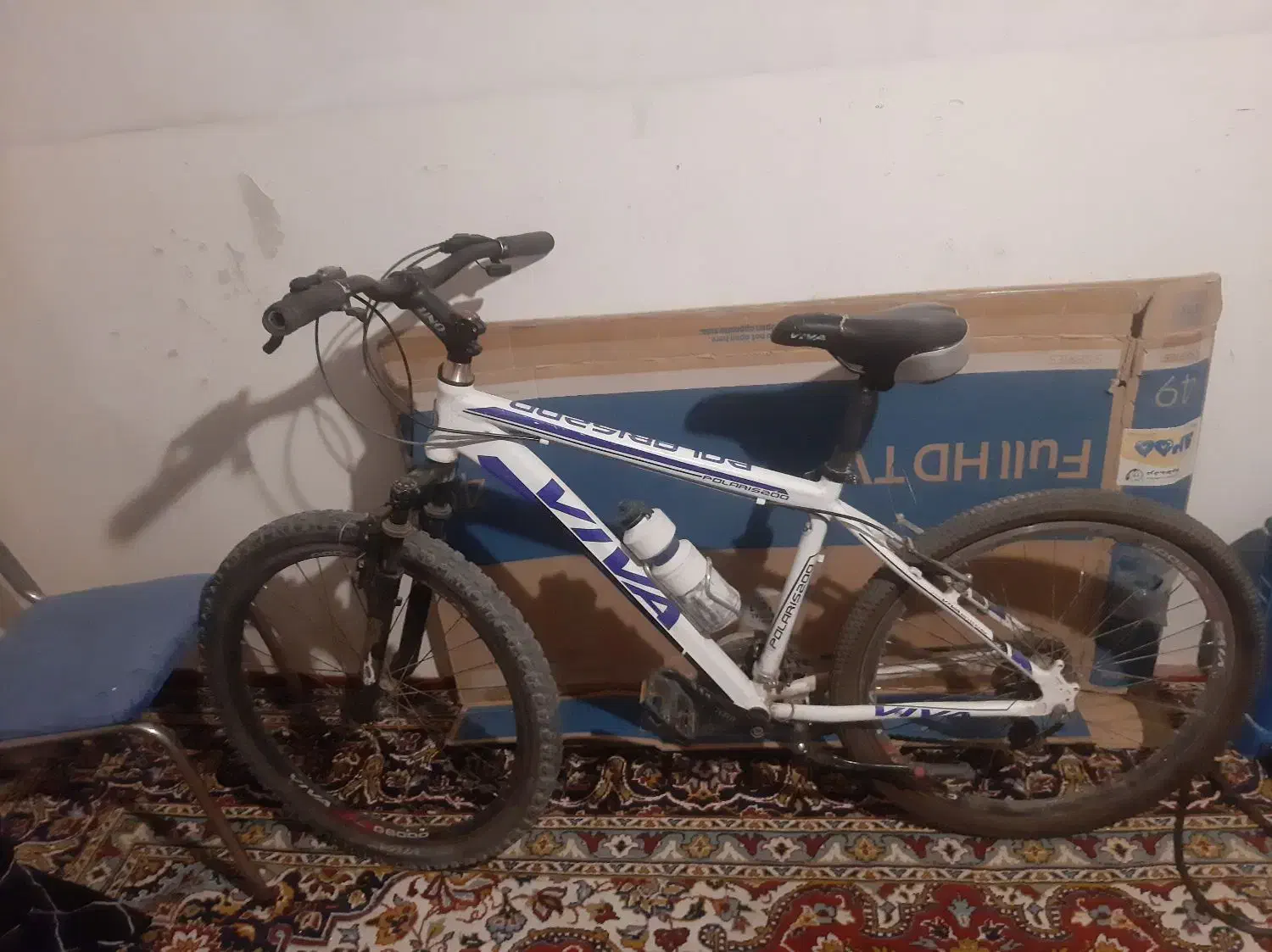 دوچرخه ویوا ۲۶ اصل|دوچرخه، اسکیت، اسکوتر|کامیاران, |دیوار