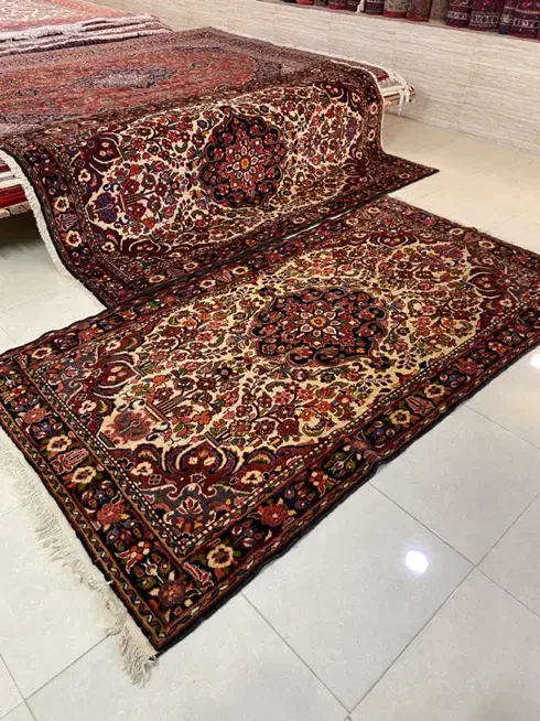 جفت پرده ای برچلو همدان گیاهی گوشتدار سالم|فرش|همدان, |دیوار