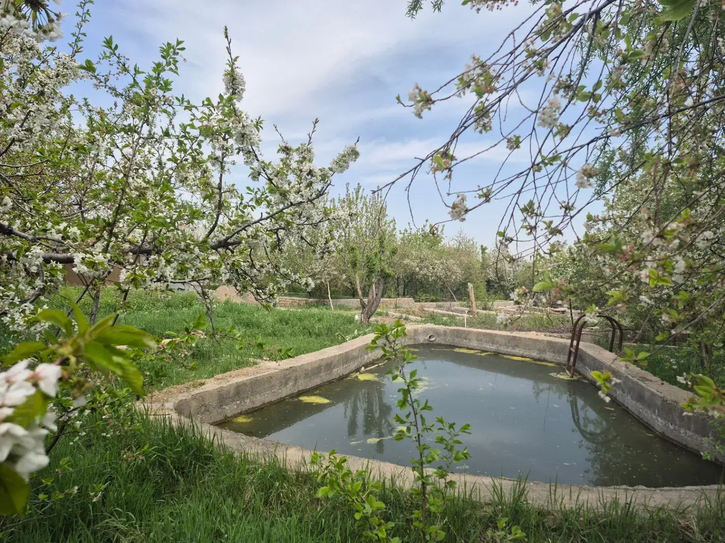 1400 متر باغ گلمکان+ سند شش دانگ+ آب+برق و گاز|فروش خانه و ویلا|گلمکان, |دیوار