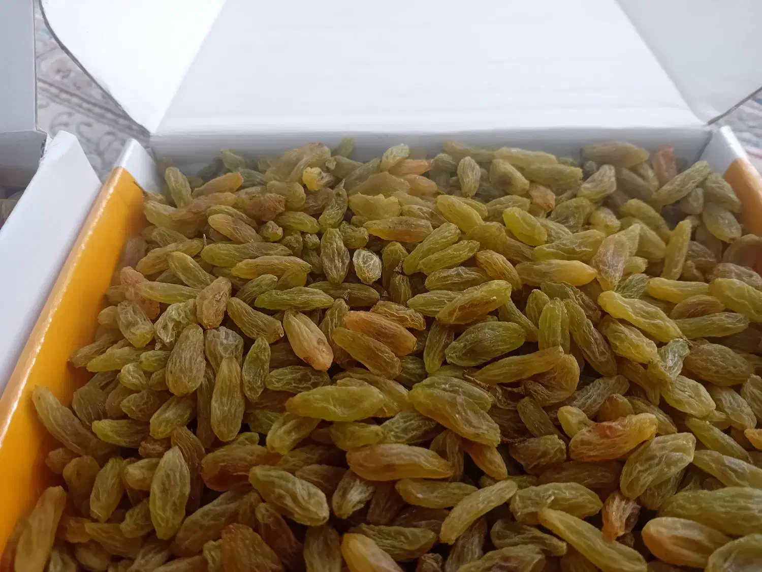 کیفیت رو ببین|خدمات باغبانی و درختکاری|تربتحیدریه, شهرک ولیعصر|دیوار