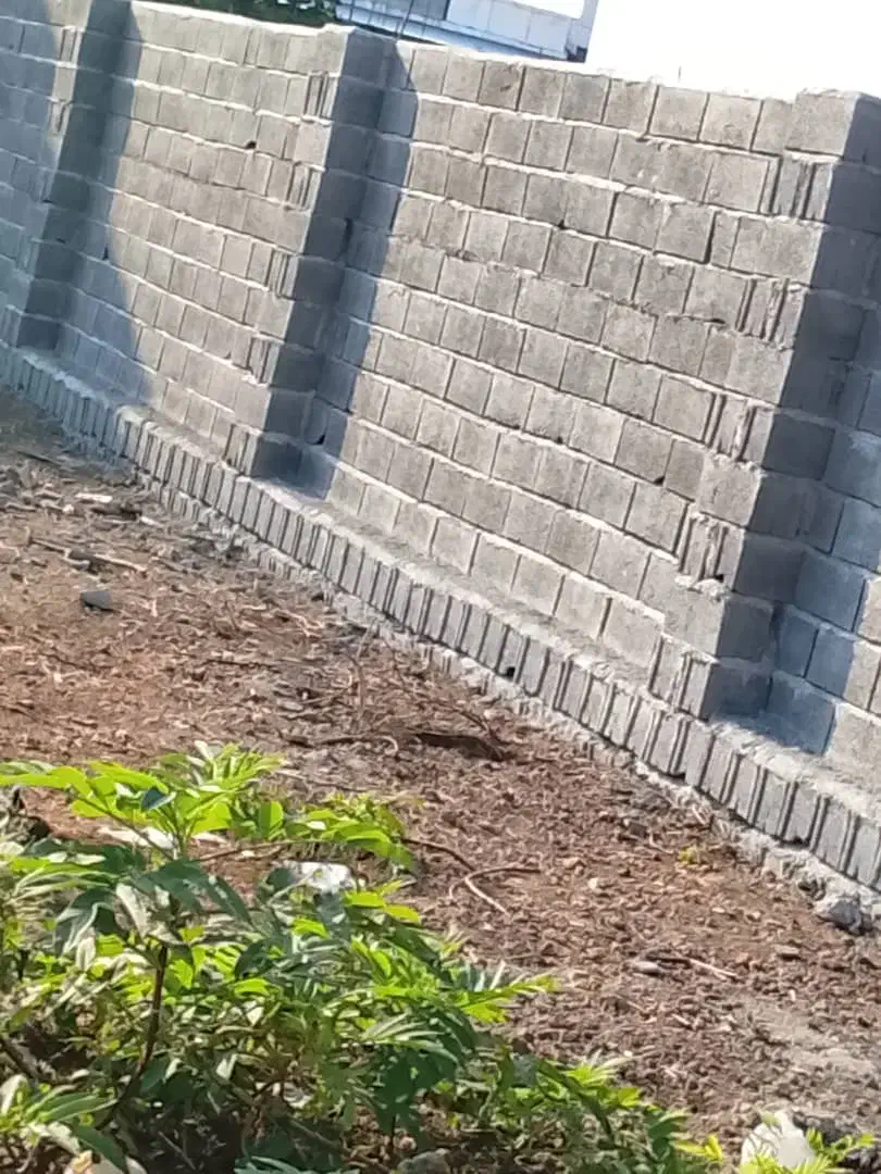 بنایی ساختمان از صفر تا صد|خدمات پیشه و مهارت|امامزاده عبدالله, |دیوار