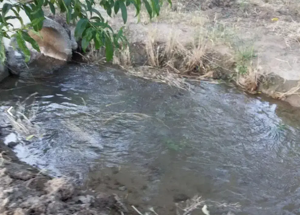 فروش ۴۴۰متری   باغچه شهرکی  در تنکمان|فروش زمین و ملک کلنگی|هشتگرد, هشتگرد قدیم|دیوار