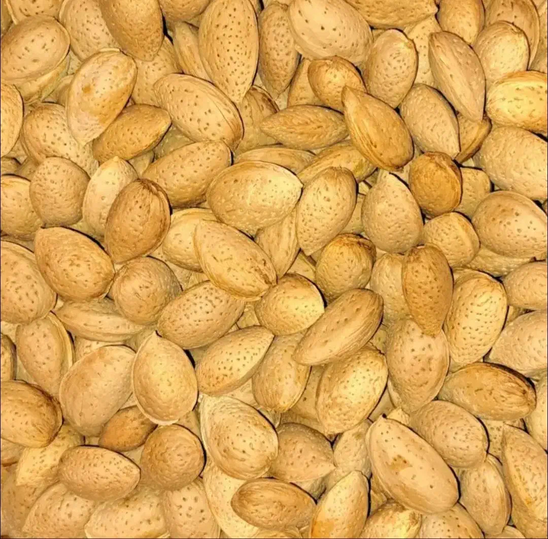 بادام|خوردنی و آشامیدنی|تهران, تهرانپارس جنوبی|دیوار