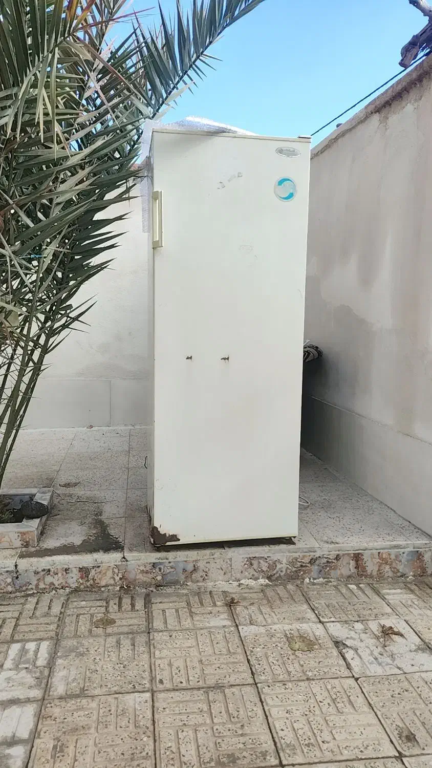 یخچال ازمایش|یخچال و فریزر|سیرجان, |دیوار