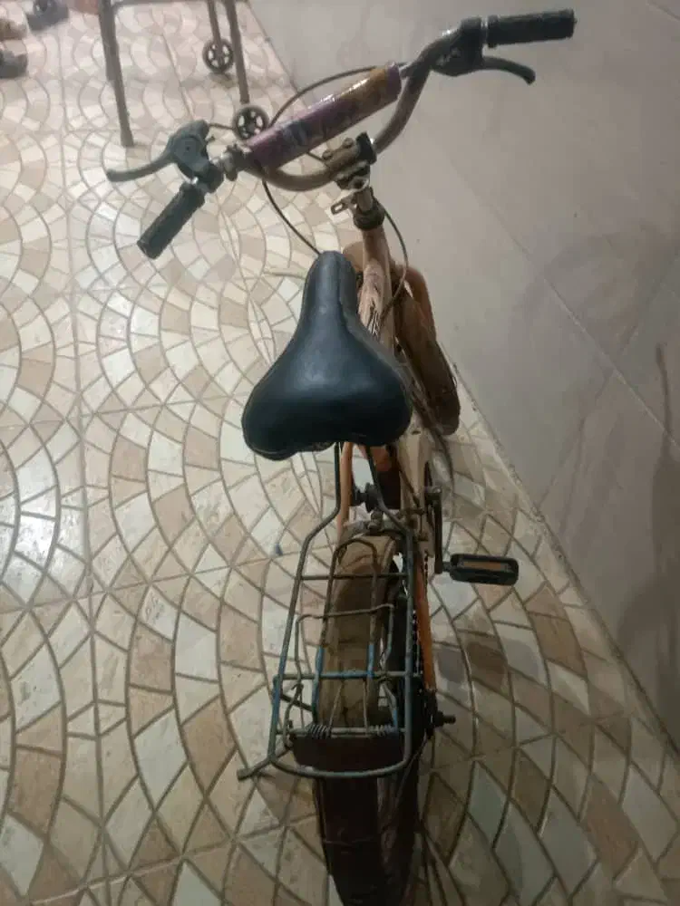 دوچرخه ۱۶|دوچرخه، اسکیت، اسکوتر|باوی, |دیوار