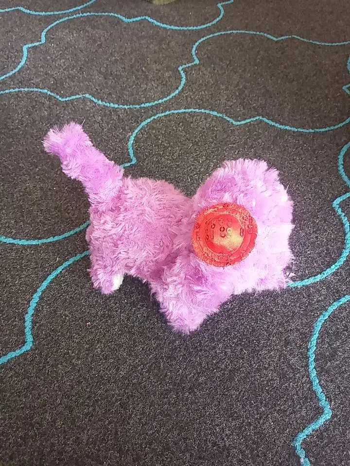 کیف مدرسه|کیف، کفش، کمربند|پلدختر, |دیوار