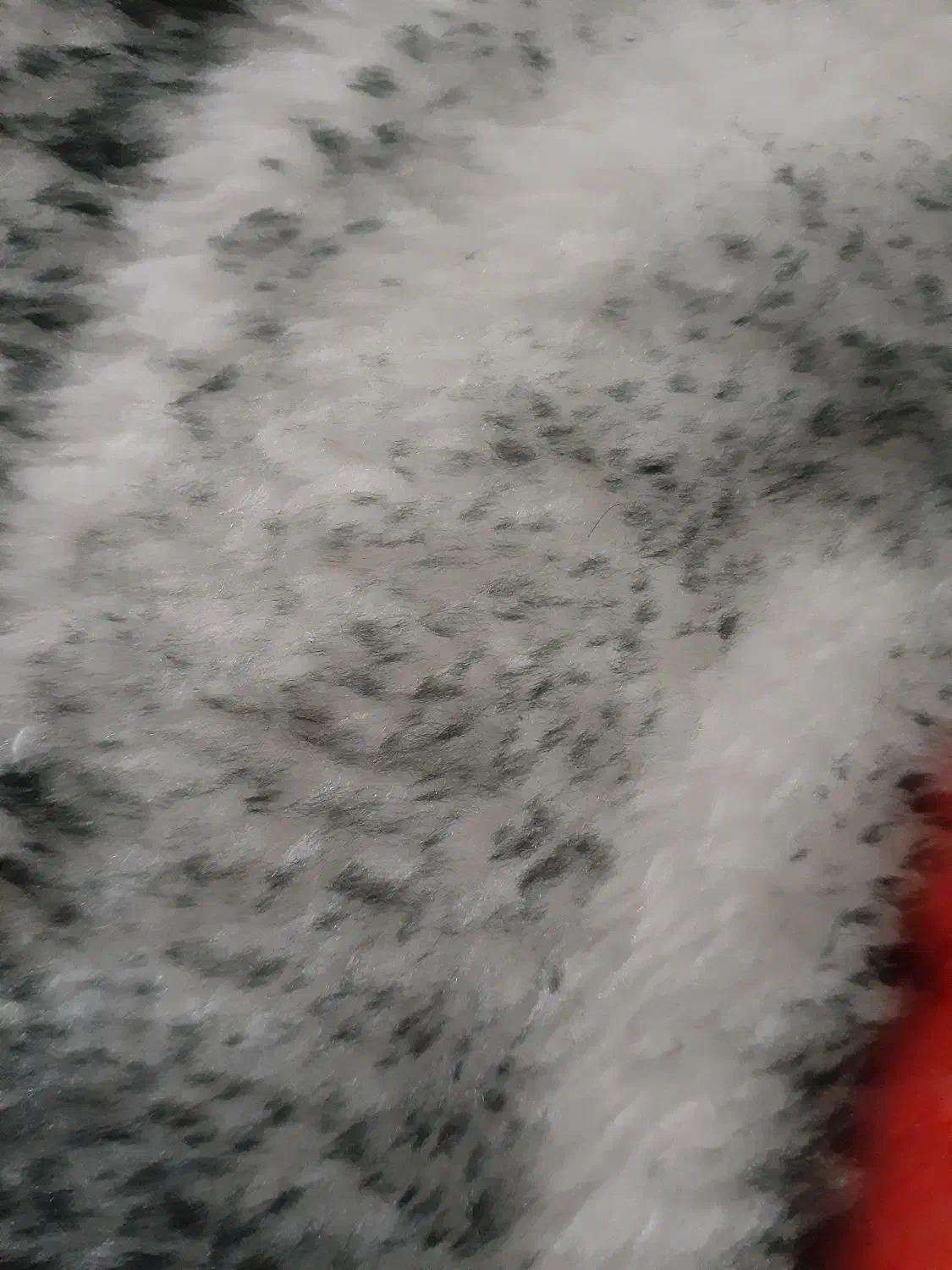 پلاک موتورگم شده|اشیا|نورآباد, |دیوار