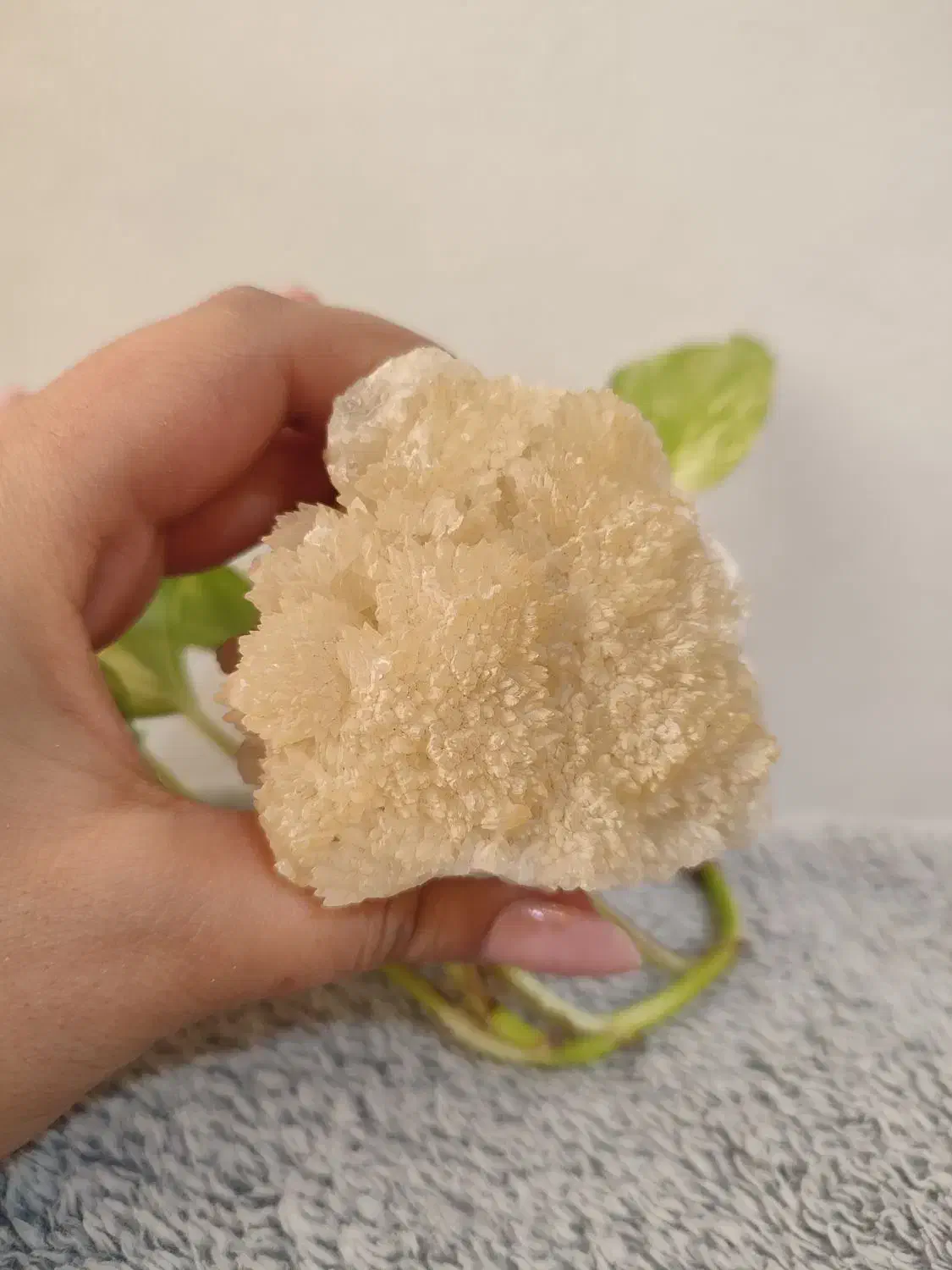 سنگ تزئینی|صنایع دستی و سایر لوازم تزئینی|مشهد, آزادشهر|دیوار