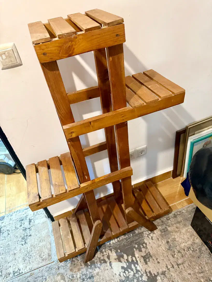 استند گل|گل و گیاه طبیعی|رشت, آزادگان|دیوار