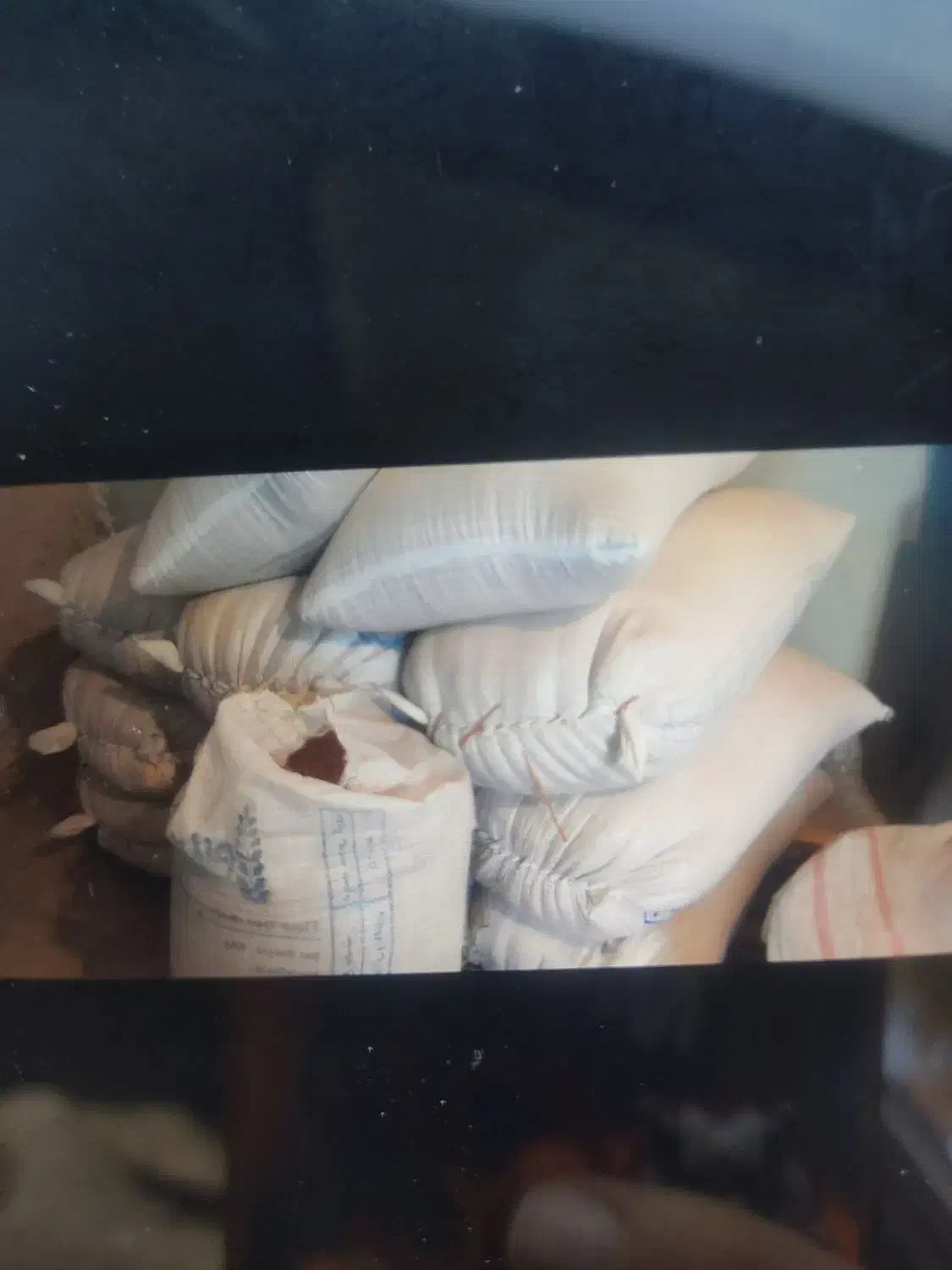 گندم دامی|لوازم جانبی حیوانات|ایوان, |دیوار