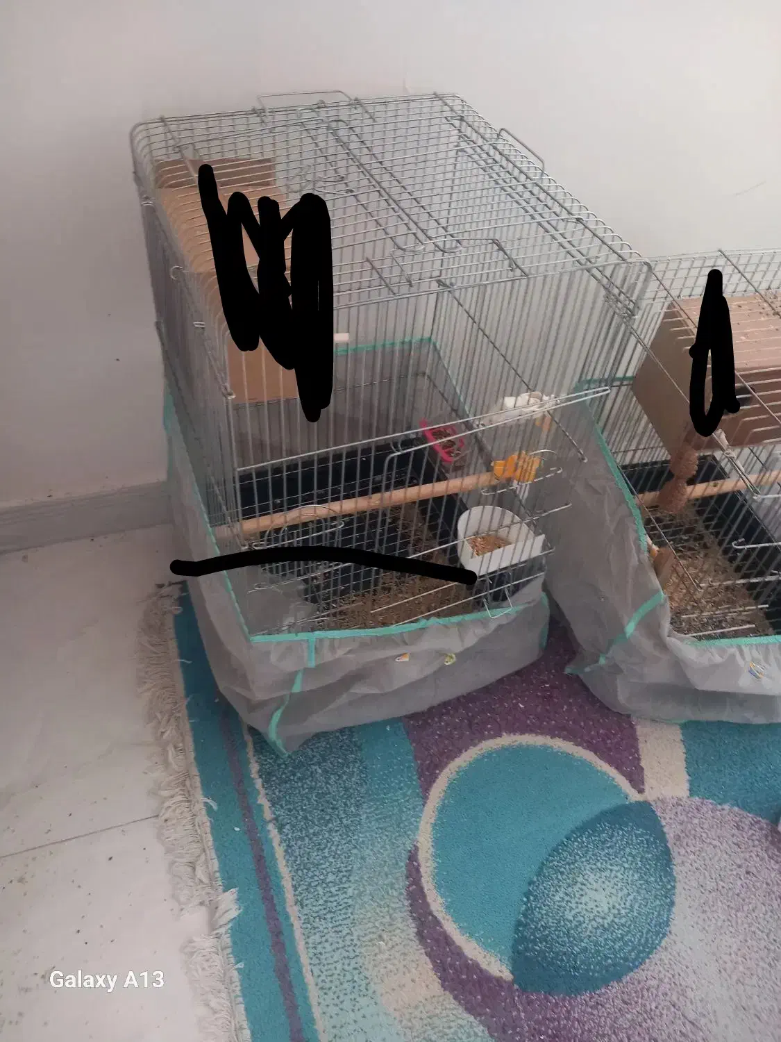 قفس بزرگ|لوازم جانبی حیوانات|تهران, مسعودیه|دیوار