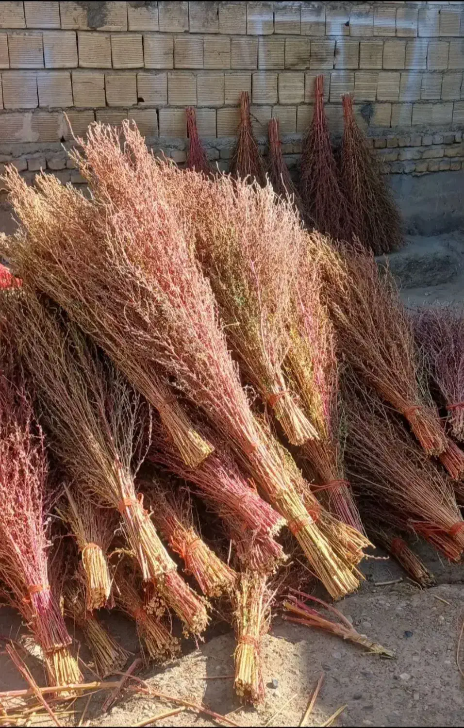 جارو فراشی|لوازم نظافت|سرپل ذهاب, |دیوار