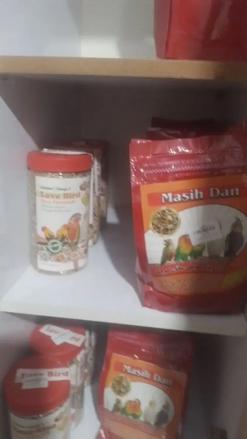 وسایل خوراک پرنده معاوضه با پرنده فنچ طوطی کوتوله|لوازم جانبی حیوانات|سیستان, |دیوار