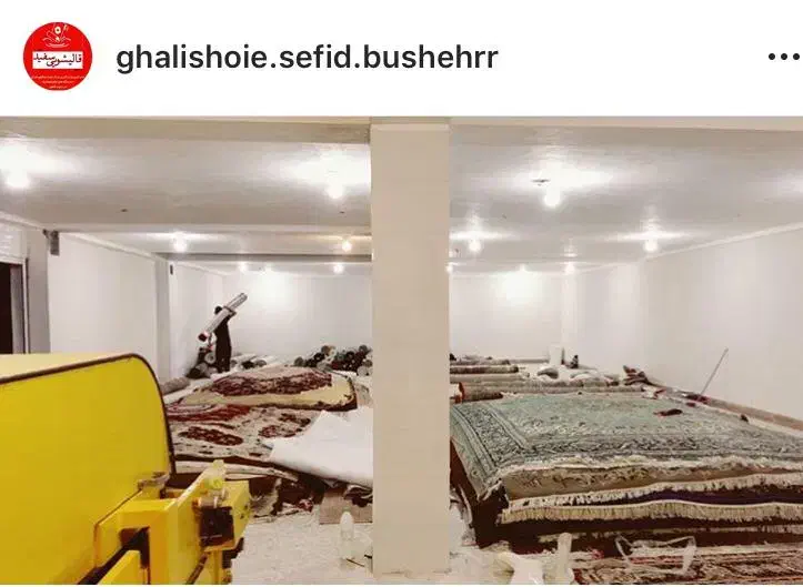 قالیشویی و مبل شویی سفید|خدمات نظافت|بوشهر, |دیوار