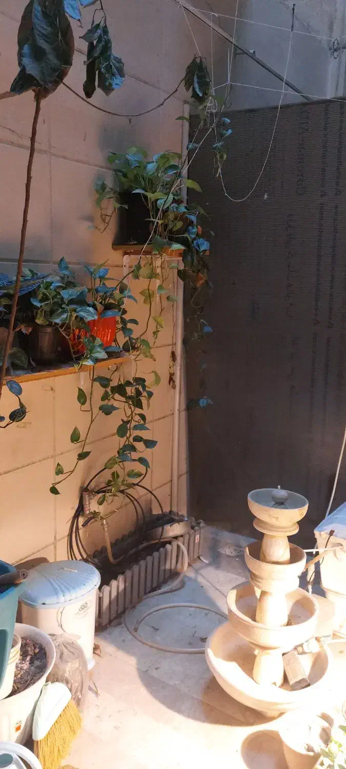 ۶۰ متر، خوش نقشه، رهن و اجاره