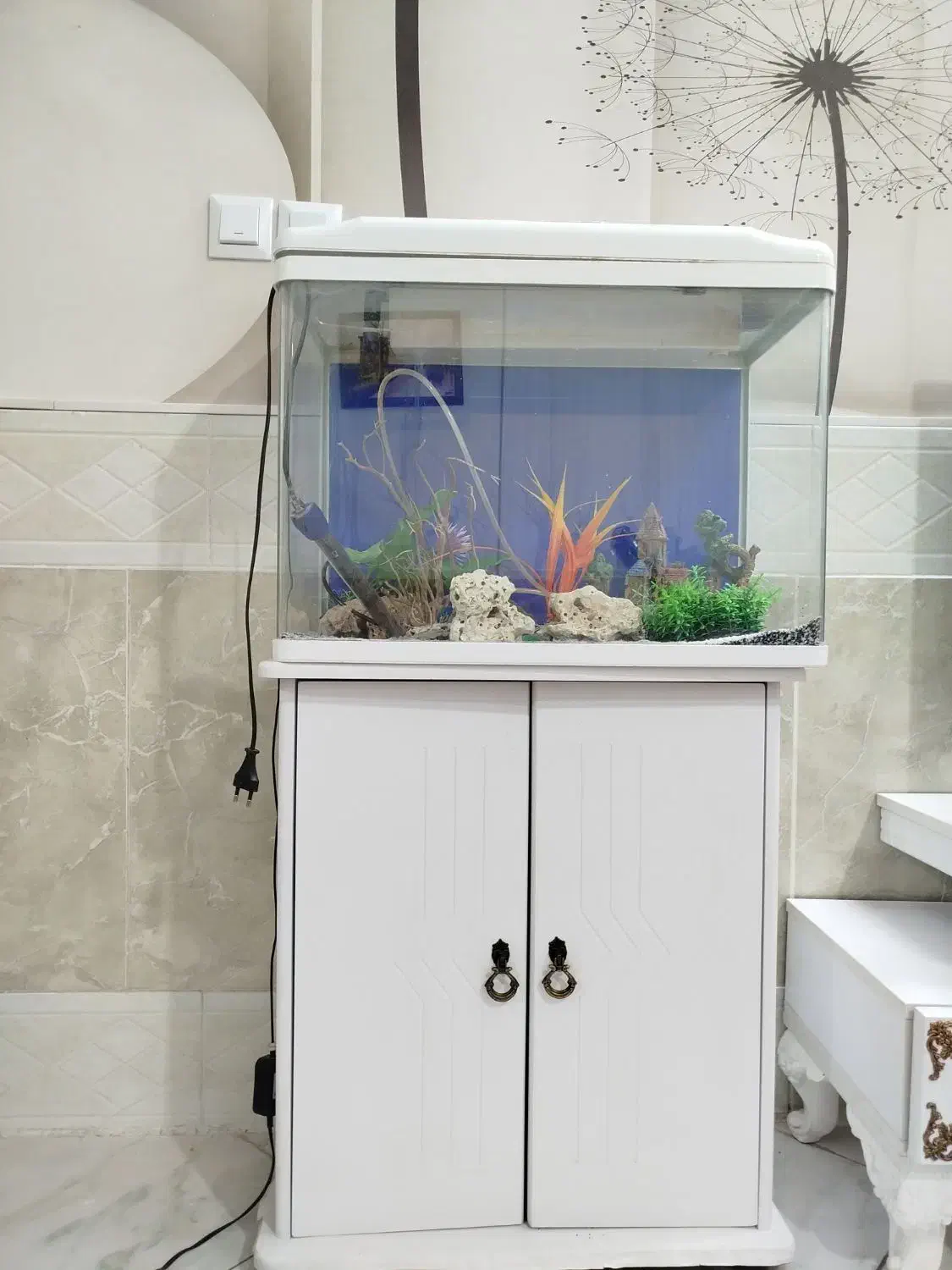 آکواریوم عرض ۵۸طول ۴۵ بدون میز با میز قد ۱۰۶|ماهی|نیشابور, میدان حافظ|دیوار