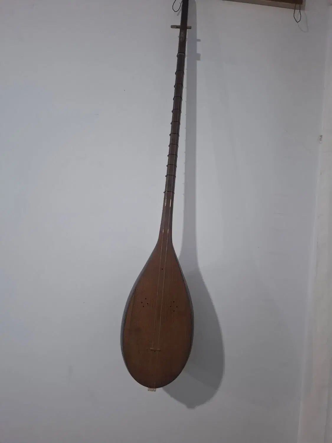 ساز دو تار مشهد|سازهای سنتی|قدس, شهر‌قدس|دیوار