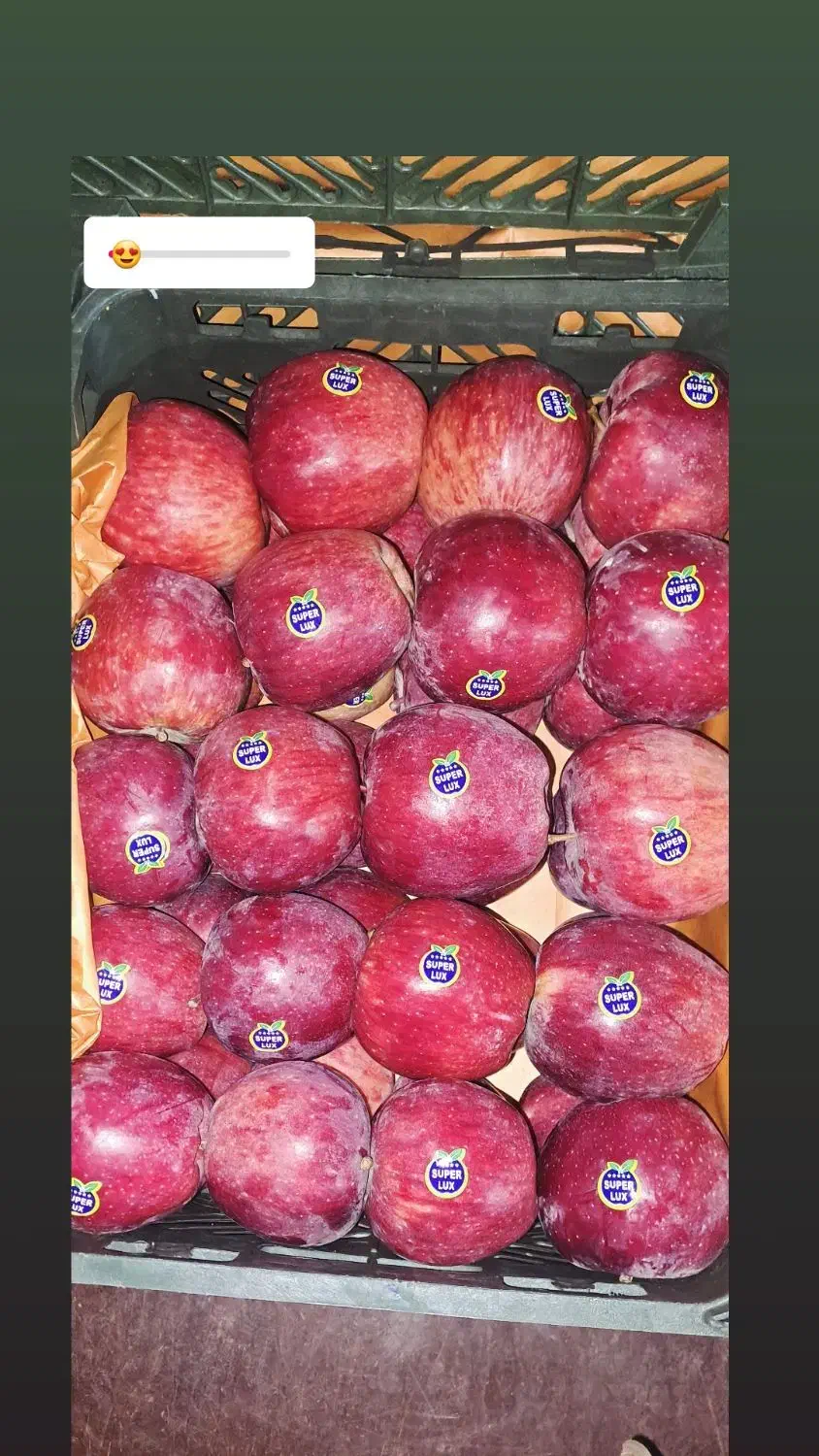 سیب لوکس|عمدهفروشی|اهر, |دیوار