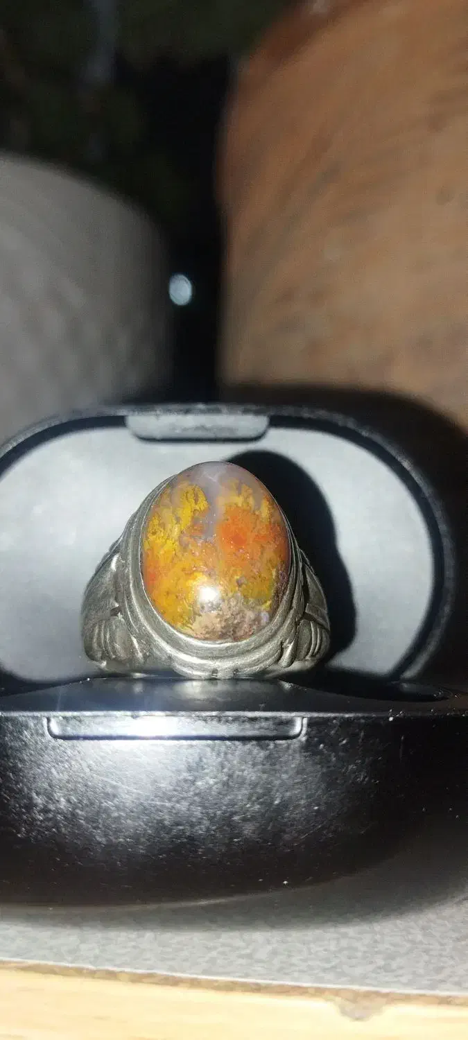 شجر دریایی|بدلیجات|هشتگرد, شهرک پامچال|دیوار