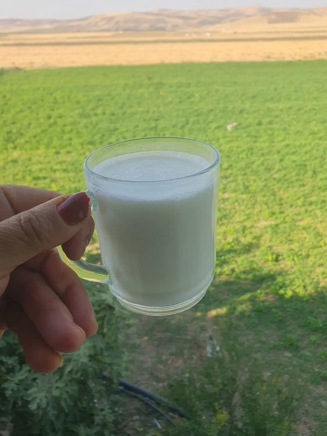 شیرفروشی|خوردنی و آشامیدنی|روانسر, |دیوار
