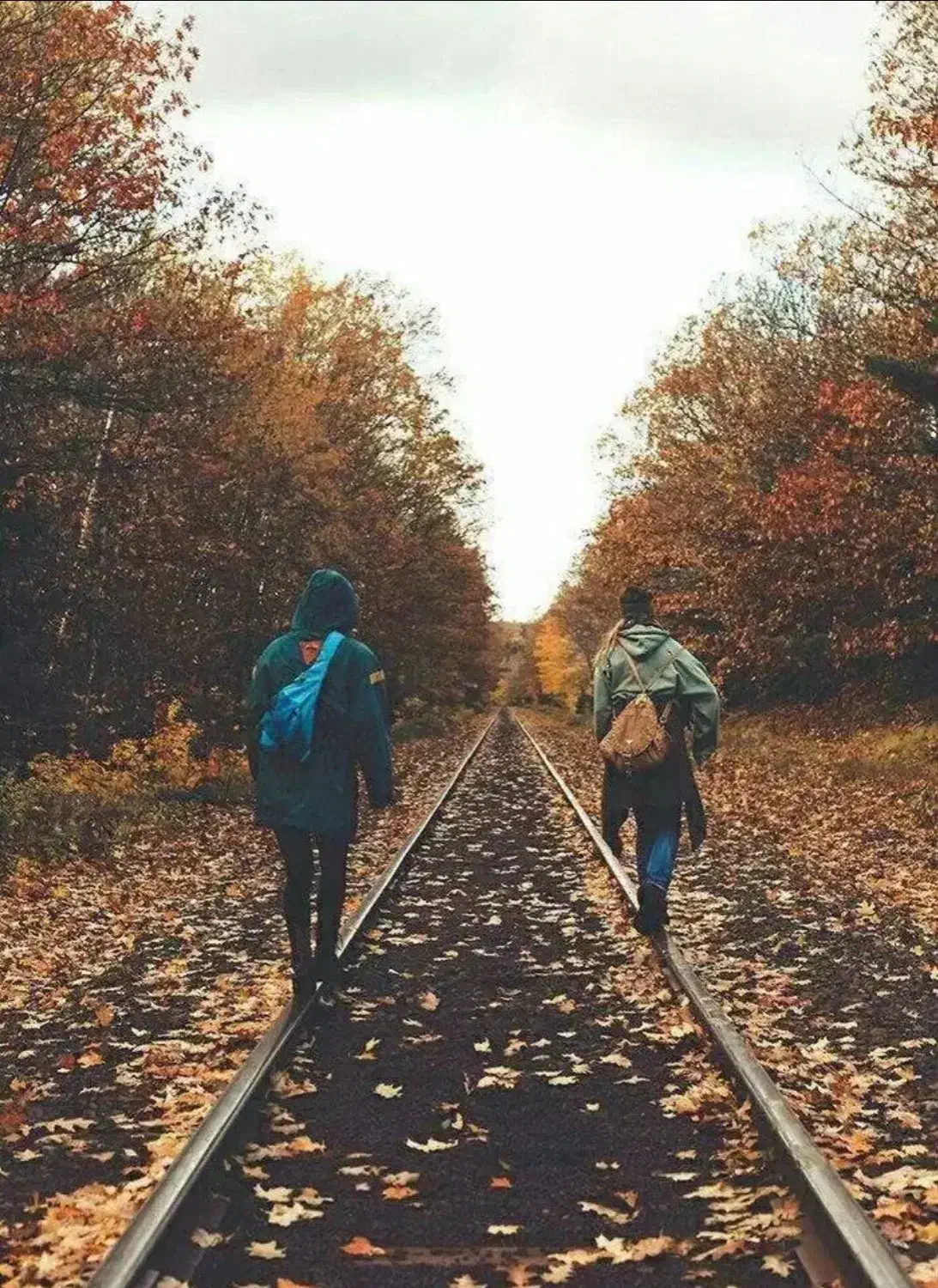 راهنمایی کنید|فعالیت داوطلبانه|مشهد, احمدآباد|دیوار