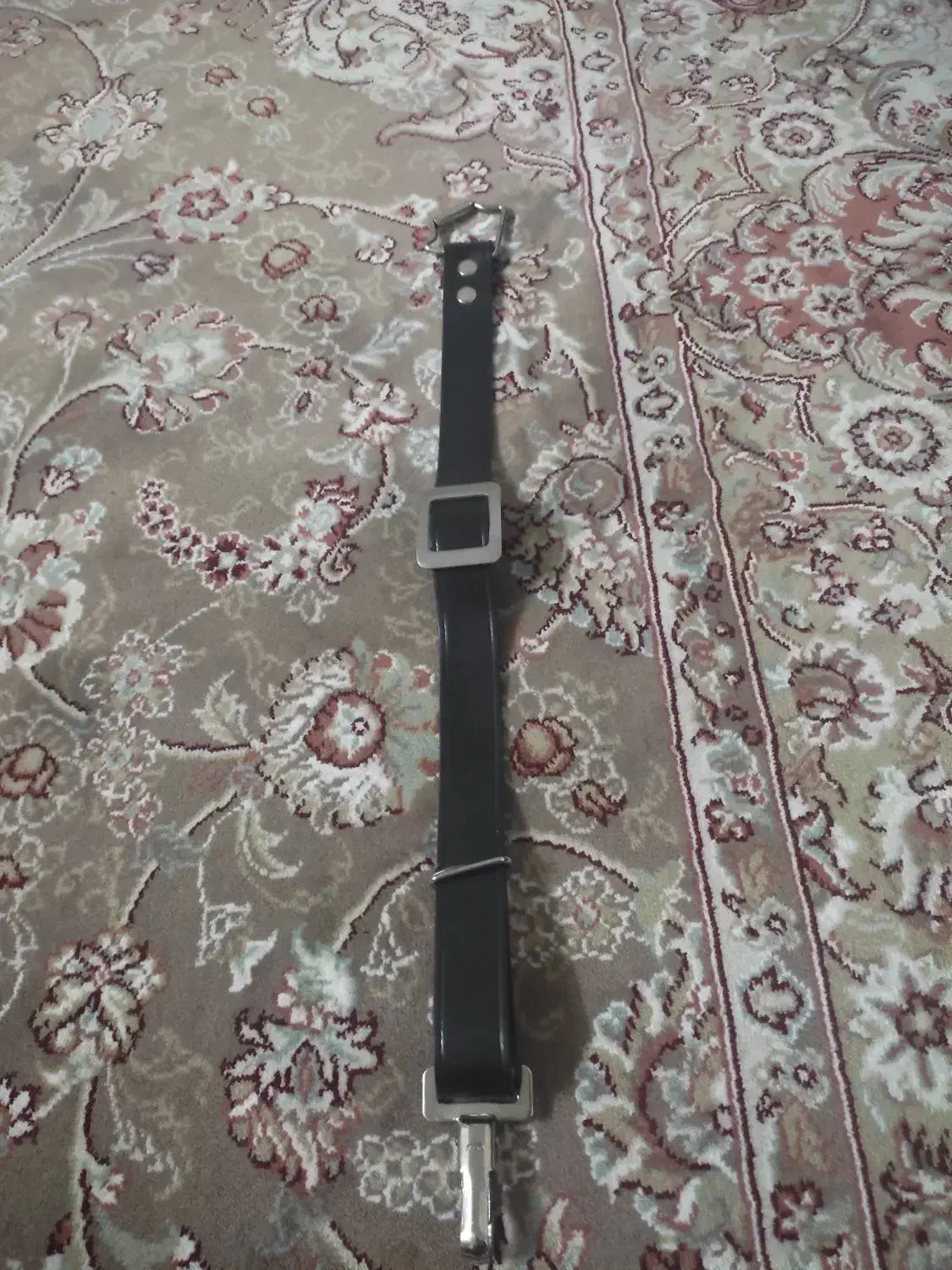 قلاده سگ|لوازم جانبی حیوانات|بروجرد, |دیوار