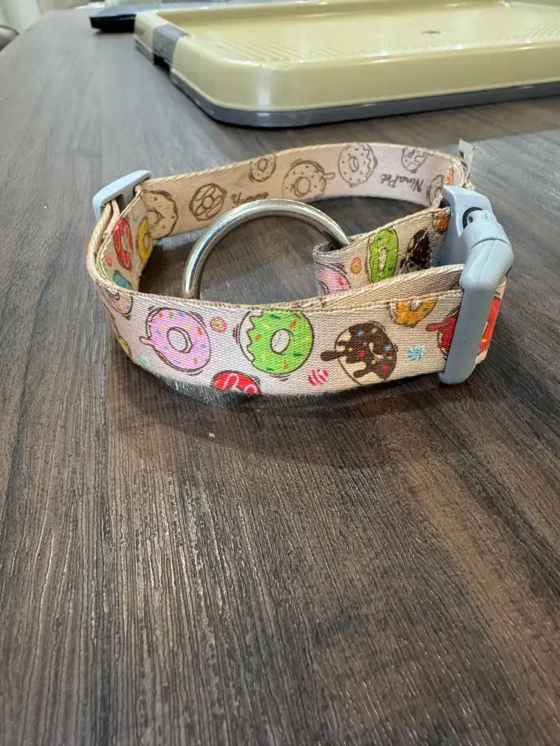 قلاده گردنی سگ|لوازم جانبی حیوانات|کرمان, |دیوار