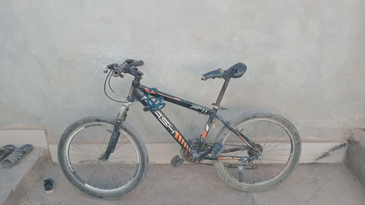 دوچرخه|دوچرخه، اسکیت، اسکوتر|تربت جام, باغ سنگان سفلی|دیوار