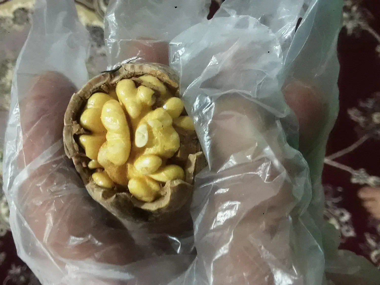 سایه خشک و شیره به شرط تست|خوردنی و آشامیدنی|زند, |دیوار