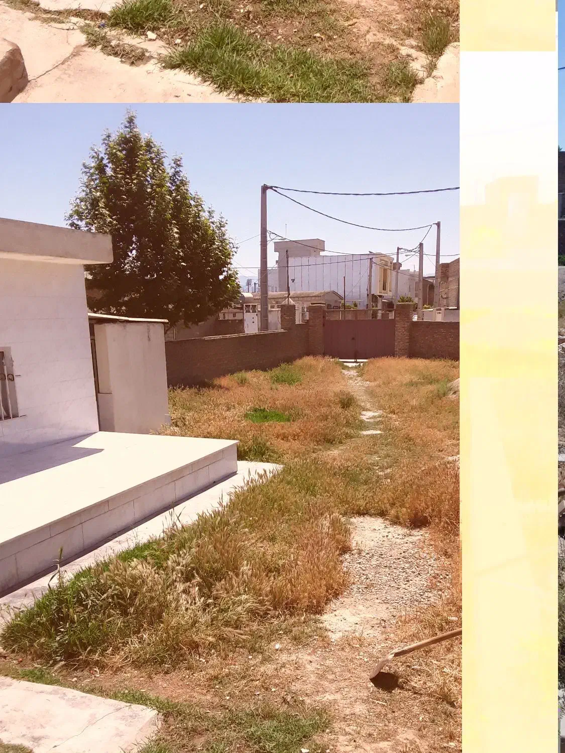 کندن علفهای هرز|خدمات نظافت|گنبد کاووس, |دیوار