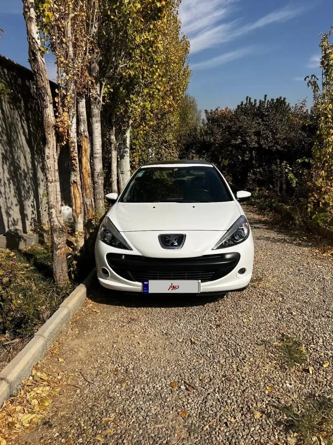 207پانا ارتقا|خودرو سواری و وانت|تهران, تهرانسر شرقی|دیوار