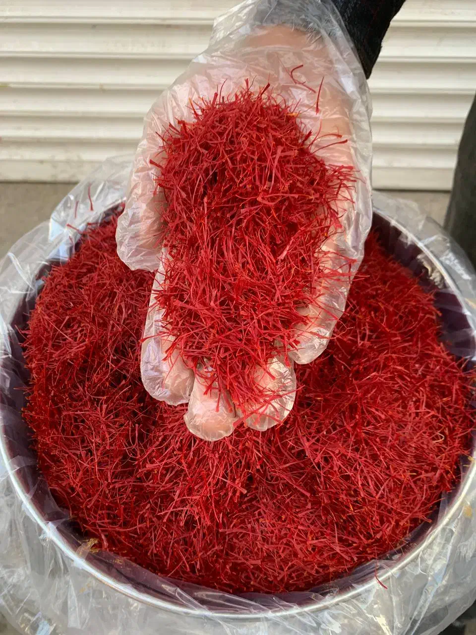 خشک کردن زعفران در تربت حیدریه|خوردنی و آشامیدنی|تربت‌حیدریه, شهرک ولیعصر|دیوار