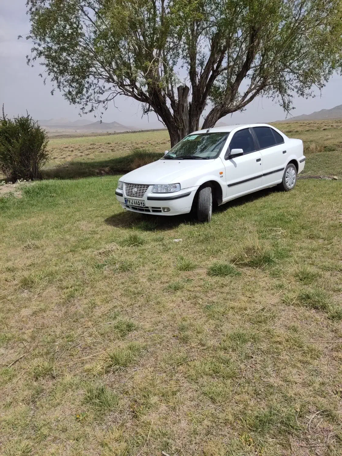 سمند|خودرو سواری و وانت|کرمان, |دیوار