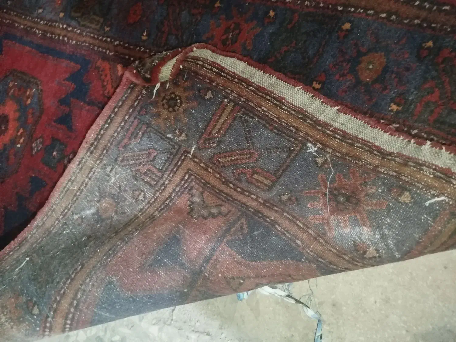 فرش|فرش|قزوین, |دیوار