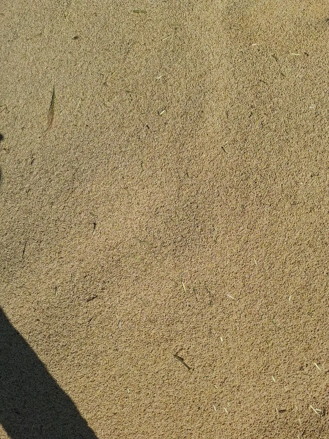 ارزن|عمدهفروشی|کهنوج, |دیوار