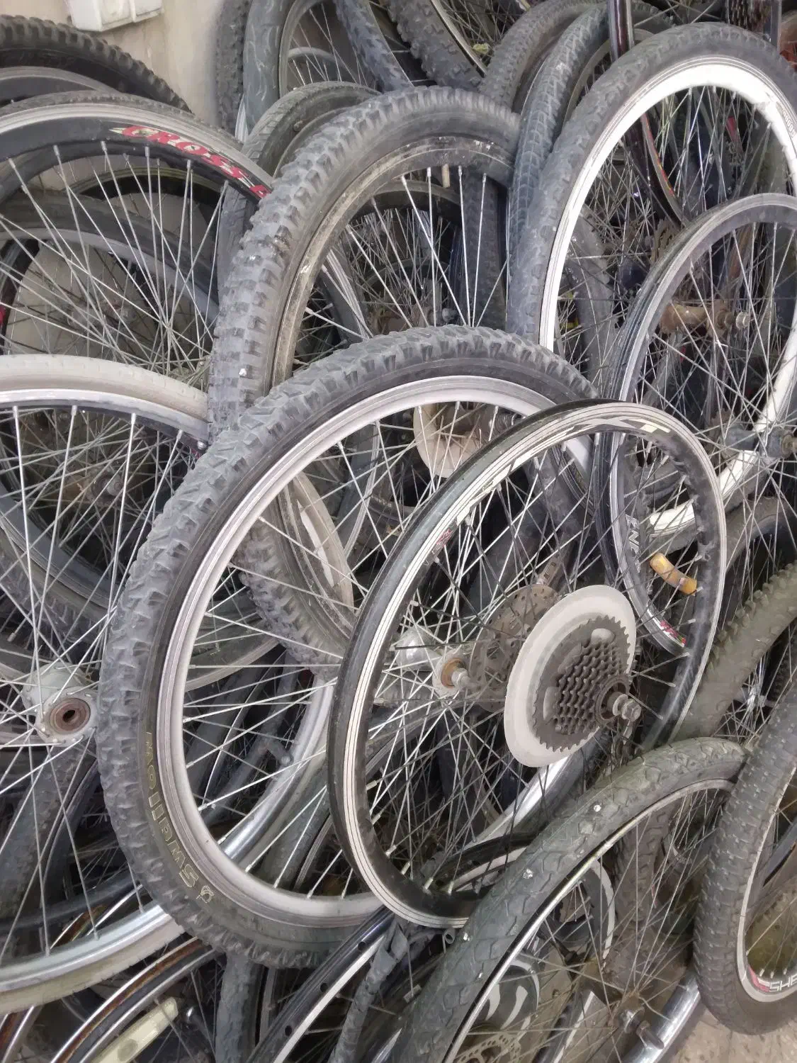 طوقه سایز ۱۲ تا ۲۶ تک جفت تعداد|دوچرخه، اسکیت، اسکوتر|ری, شهید بهشتی|دیوار