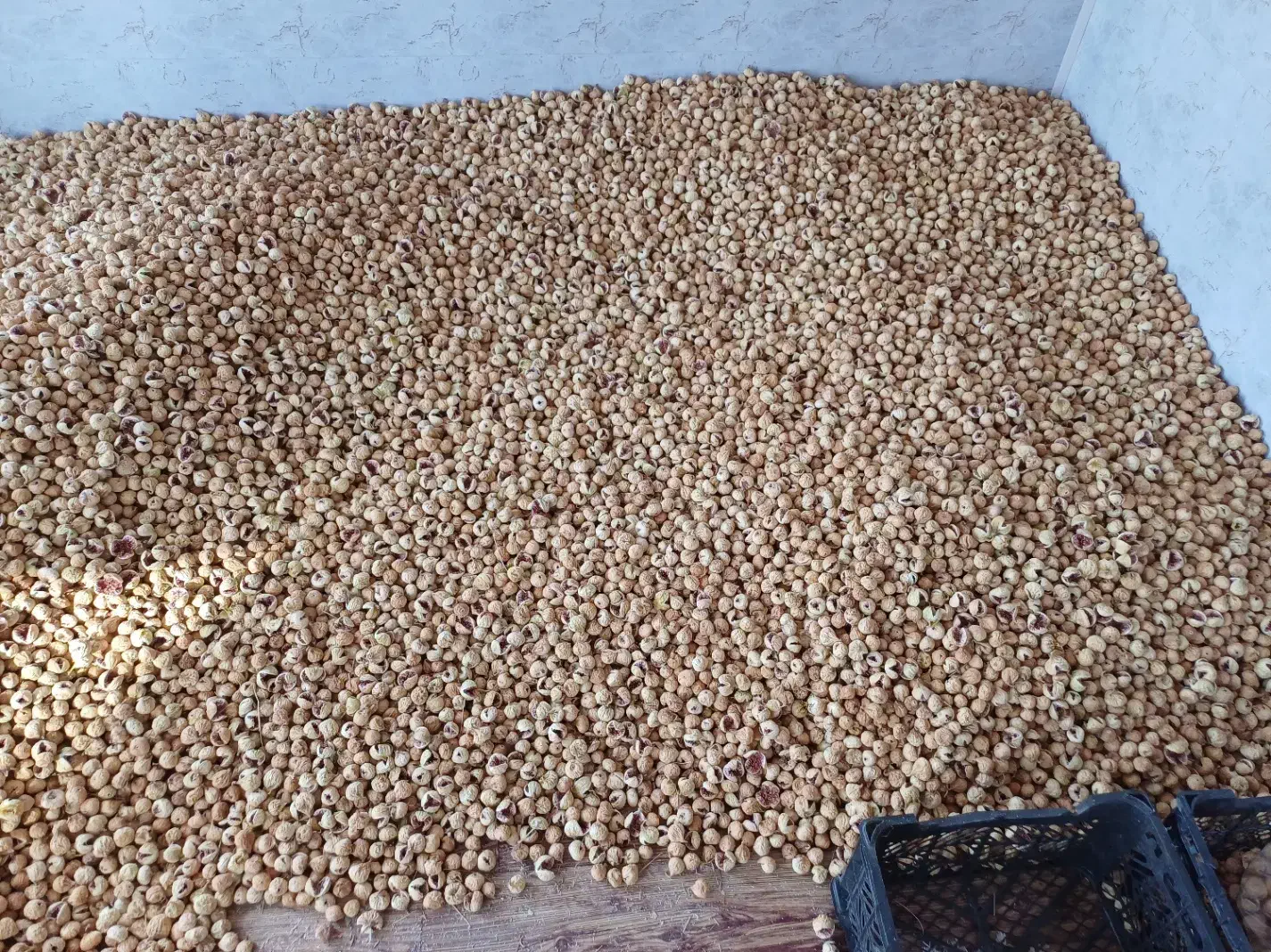 فروش خشکبار|خوردنی و آشامیدنی|رونیز, |دیوار