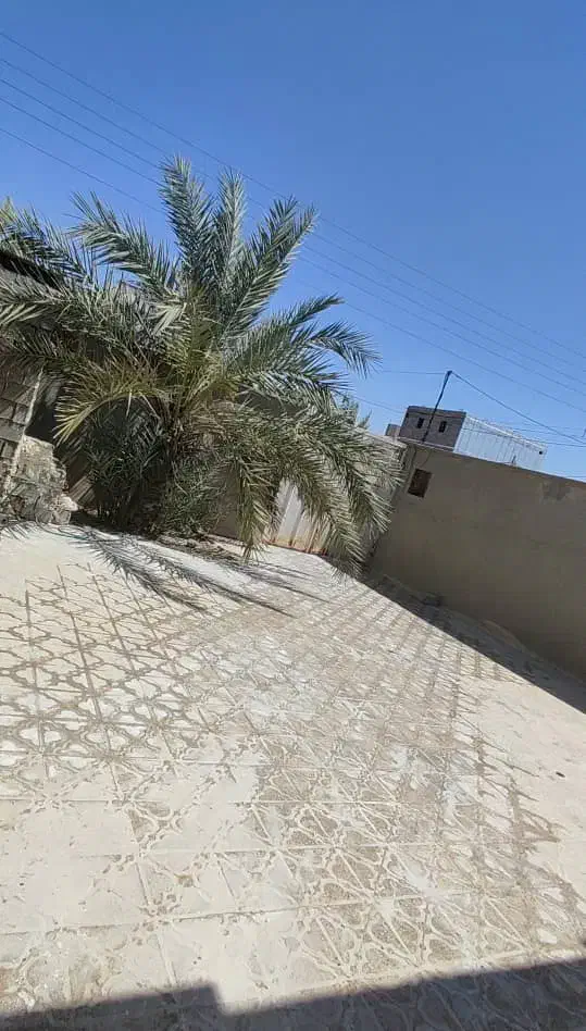 رهن و اجاره یک واحد مسکونی ویلایی|اجارهٔ خانه و ویلا|خورموج, |دیوار