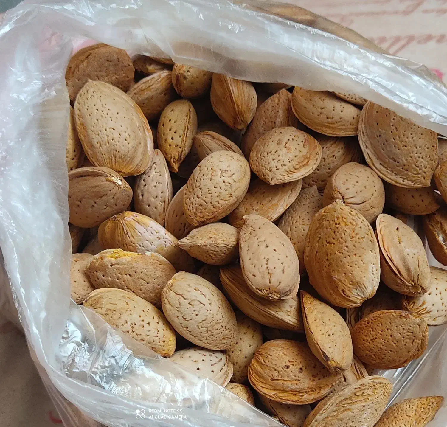 بادام شیرین|خوردنی و آشامیدنی|شیراز, دانشگاه شیراز|دیوار