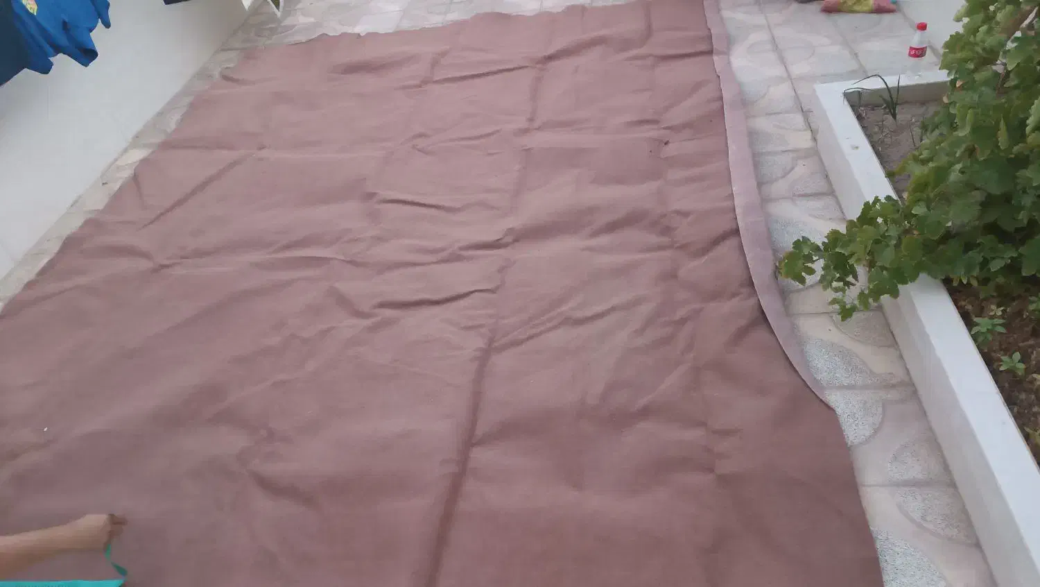 موکت|موکت|تربتحیدریه, ۴۵ متری|دیوار