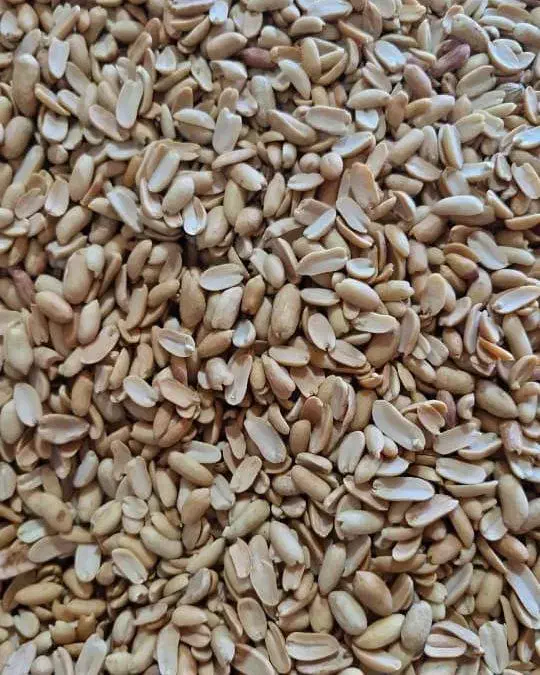 بادام زمینی و کره بادام زمینی|خوردنی و آشامیدنی|قم, دورشهر|دیوار