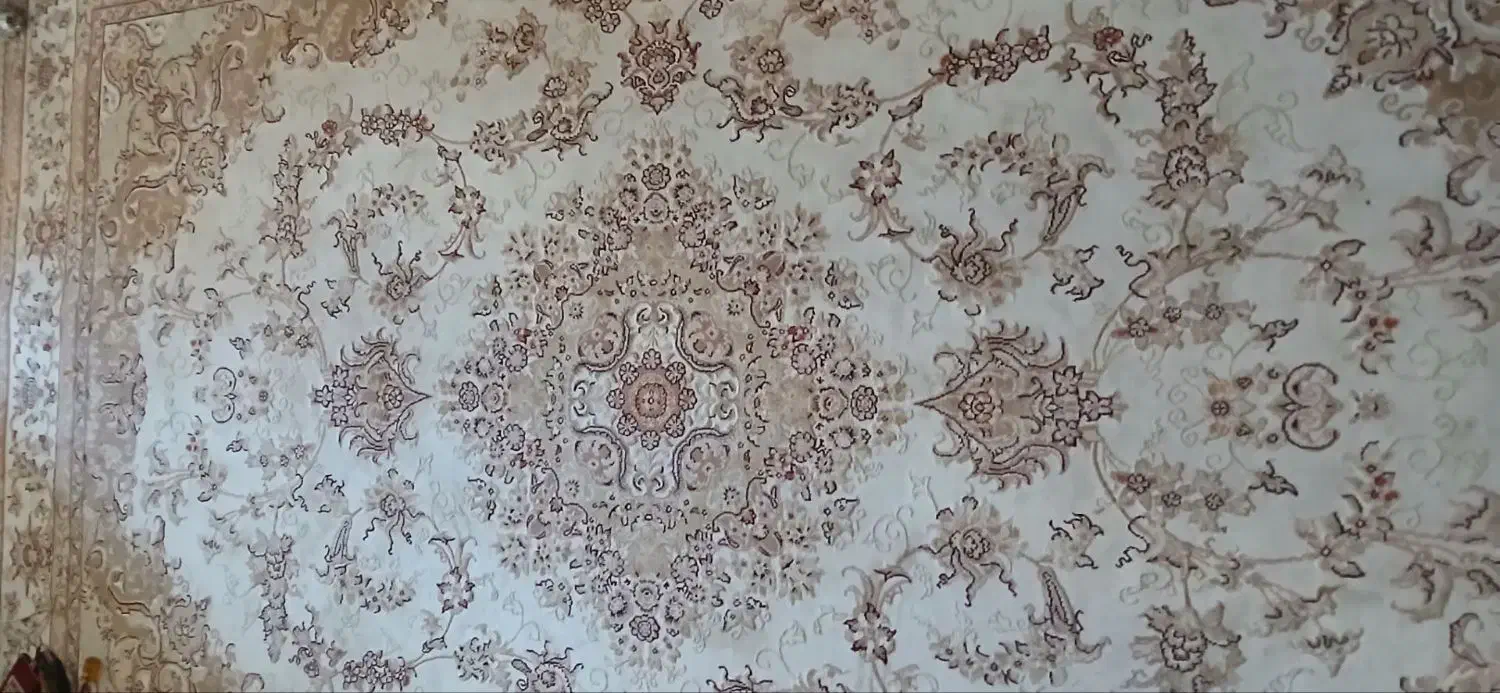فرش ۷۰۰ شانه نقش برجسته ۶ متری سالم|فرش|کرمانشاه, |دیوار